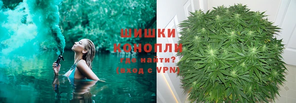 МДПВ Абаза