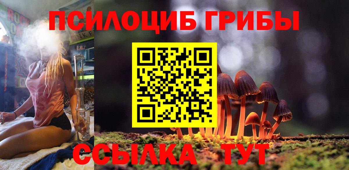 Псилоцибиновые грибы Cubensis  Вход с VPN  Богданович 
